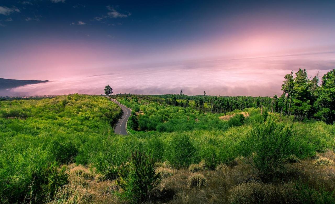 Tenerife Holidays Адехе Экстерьер фото