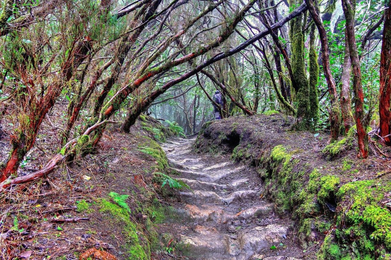 Tenerife Holidays Адехе Экстерьер фото