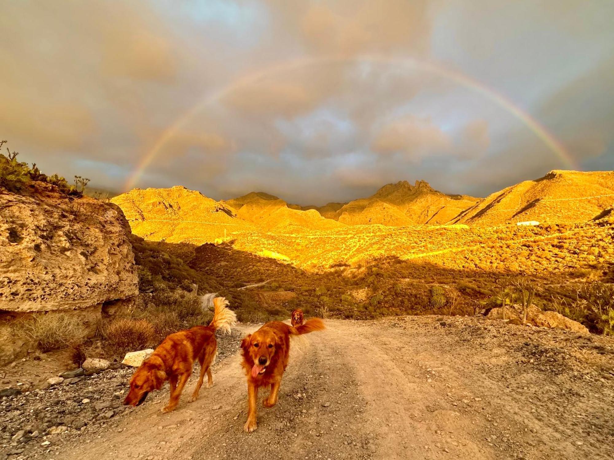 Tenerife Holidays Адехе Экстерьер фото